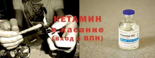 прущие грибы Протвино