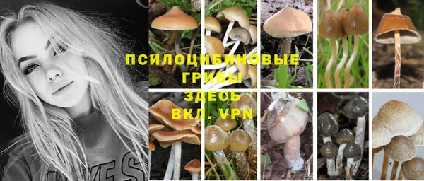 спайс Приозерск