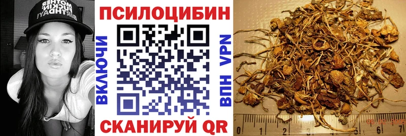Галлюциногенные грибы Psilocybine cubensis  Елизаветинская 